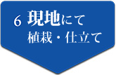 6 現地にて　植栽・仕立て